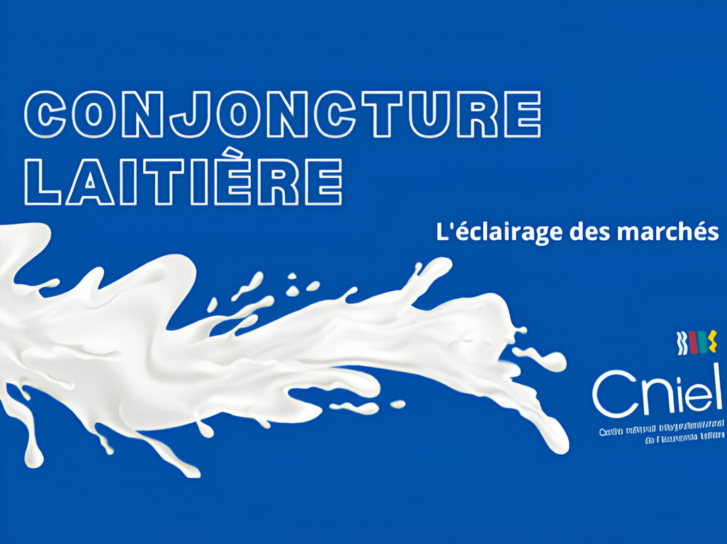 Conjoncture laitière - Janvier 2024 - Une production peu abondante en France et dans les grands bassins exportateurs.