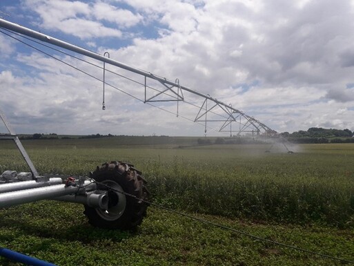 Irrigation - La campagne d'irrigation débute dans des conditions favorables