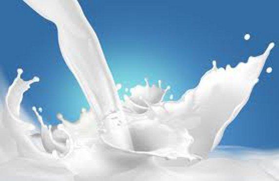 Pays de la Loire - Prix du lait : une lecture complexe des marchés
