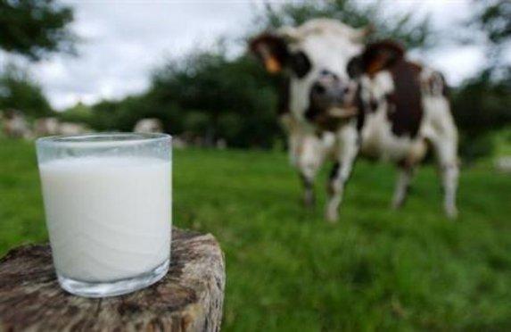 Pays de la Loire - Les producteurs de lait s’impatientent sur le prix !