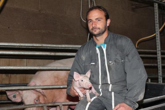 Pays de la Loire - «â€¯Continuons d'œuvrer pour un affichage du porc françaisâ€¯»
