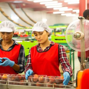 Adult women checking quality of peaches