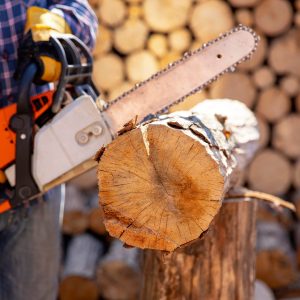The worker works with a chainsaw. Chainsaw close up. Woodcutter saws tree with chainsaw on sawmill. Chainsaw in action cutting wood. Man cutting wood with saw, dust and movements.