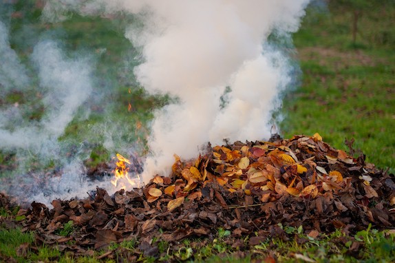 Vendée : Réglementation : Les règles pour le brûlage des déchêts vert 