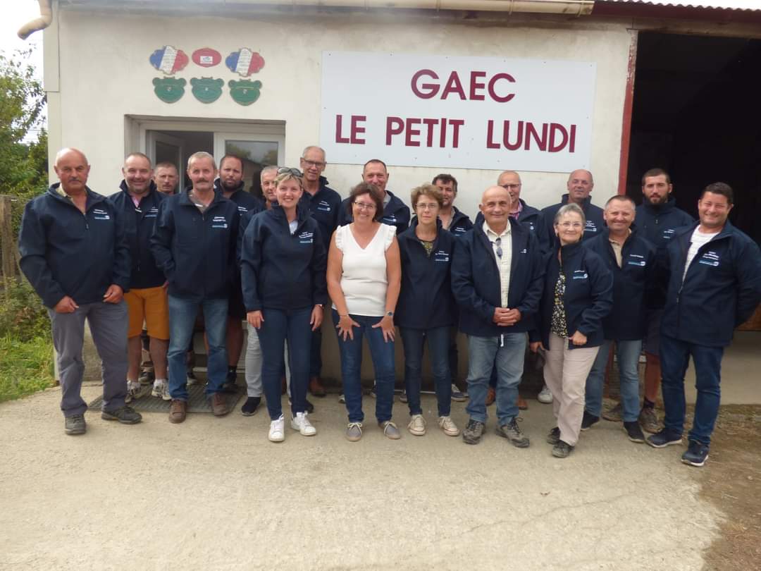 Vendée - L’association des blondes d’Aquitaine relance ses activités