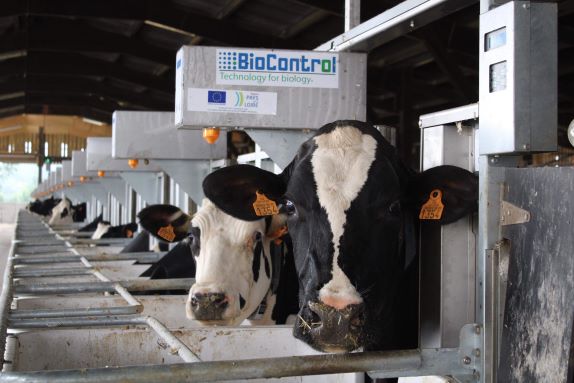 Alimentation - Ce que nous ont appris les auges peseuses sur les consommations des vaches laitières