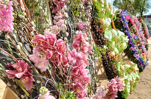 50 000 fleurs naturelles ont décoré le Haras de la Vendée 