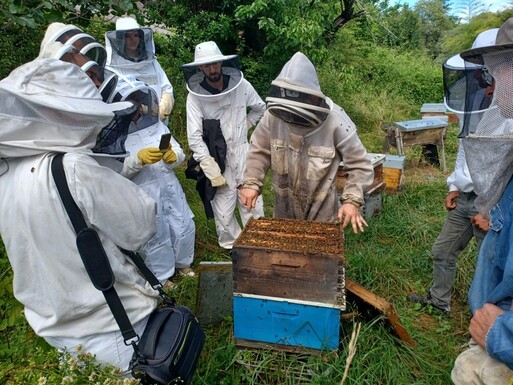 Témoignage - A la découverte de l'apiculture du Sud-Ouest