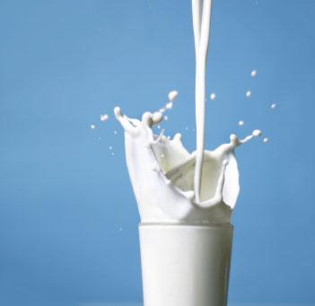[COVID-19] - La filière laitière face à un contexte sanitaire sans précédent 