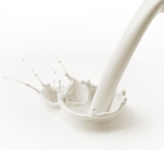 Pays de la Loire - Poursuivre la hausse du prix du lait en 2020