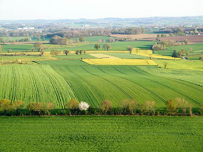 Pays de la Loire – Bulletin de l'herbe : un printemps très atypique