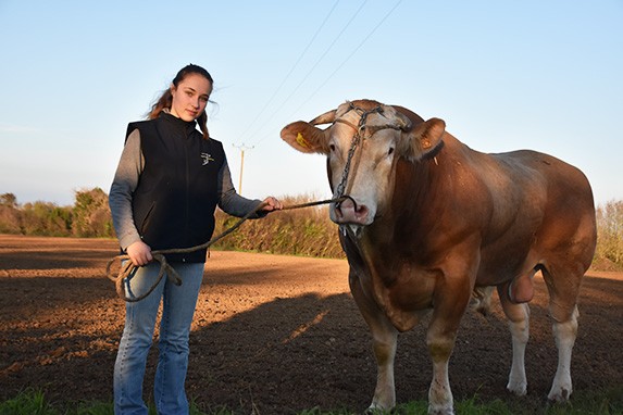 Lilou Rabillé la première présentatrice des races viande bovine à Tech’Elevage.