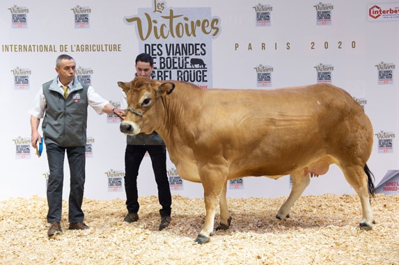 Vendée -Parthenaise : le Gaec La Gironnaise remporte les Victoires des viandes de bœuf Label Rouge  