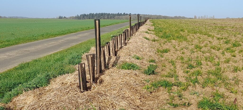 L’arbre… dans nos rétroviseurs, dans nos jumelles ou dans nos champs ?