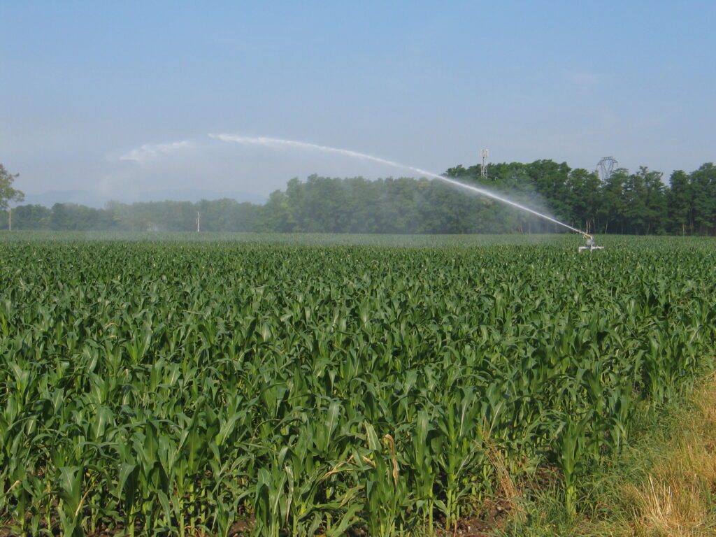 Demande d’eau pour l’irrigation 2026