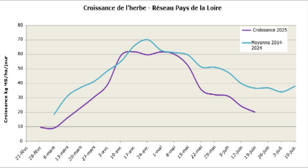 POUSSE DE L’HERBE • BULLETIN RÉGIONAL N° 17 •